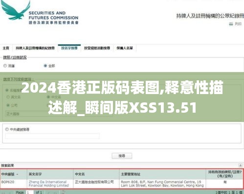 2024香港正版码表图,释意性描述解_瞬间版XSS13.51