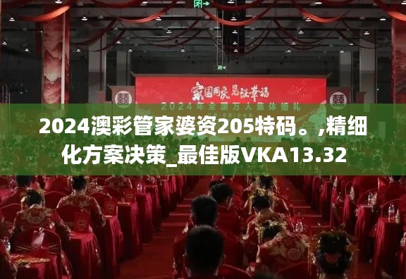 2024澳彩管家婆资205特码。,精细化方案决策_最佳版VKA13.32