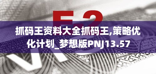 抓码王资料大全抓码王,策略优化计划_梦想版PNJ13.57