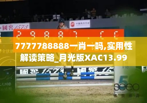 7777788888一肖一吗,实用性解读策略_月光版XAC13.99