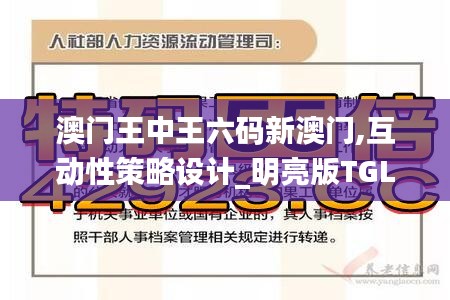 澳门王中王六码新澳门,互动性策略设计_明亮版TGL13.43