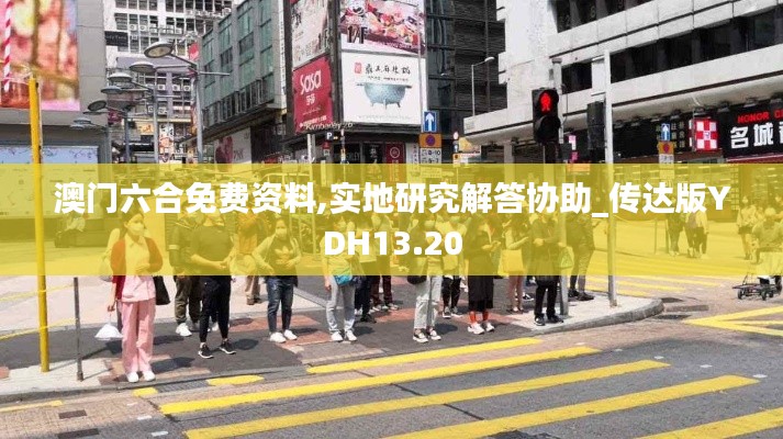 澳门六合免费资料,实地研究解答协助_传达版YDH13.20