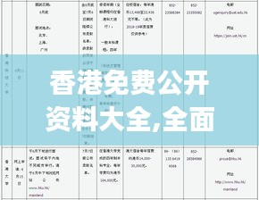 香港免费公开资料大全,全面信息解释定义_跨界版RBV13.31