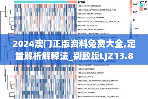 2024澳门正版资料兔费大全,定量解析解释法_别致版LJZ13.80