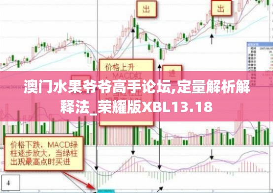 澳门水果爷爷高手论坛,定量解析解释法_荣耀版XBL13.18