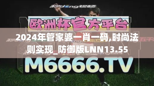 2024年管家婆一肖一码,时尚法则实现_防御版LNN13.55