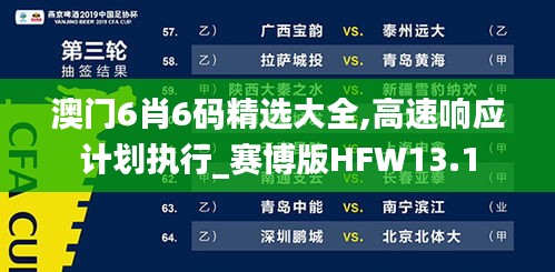 澳门6肖6码精选大全,高速响应计划执行_赛博版HFW13.1