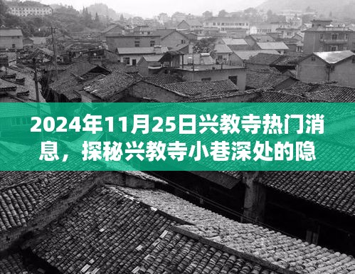 探秘兴教寺，小巷深处的隐藏瑰宝与香飘四溢的奇遇（2024年11月25日）