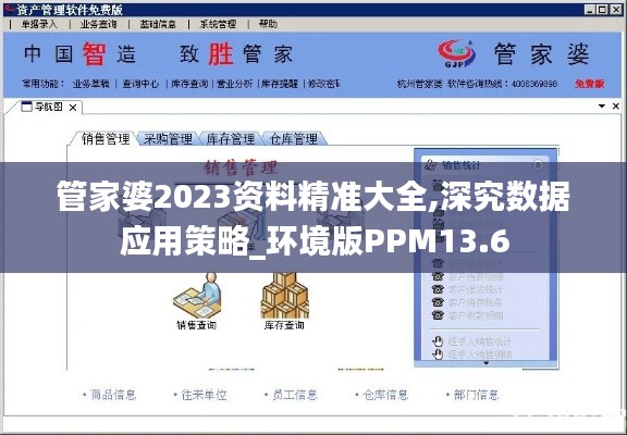 管家婆2023资料精准大全,深究数据应用策略_环境版PPM13.6