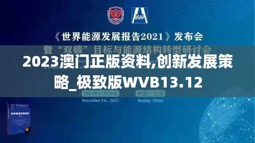 2023澳门正版资料,创新发展策略_极致版WVB13.12