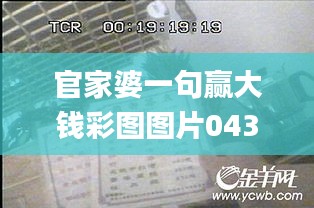 官家婆一句赢大钱彩图图片043,深度研究解析_限定版EEK13.56