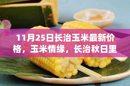 长治玉米最新价格，秋日温情故事中的玉米情缘