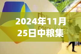 中粮集团混改新动向揭秘，科技革新引领未来，高科技产品重磅登场于2024年11月25日