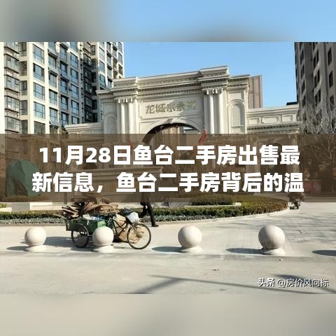 鱼台二手房最新资讯，温情故事与惊喜发现背后的友情深度探索