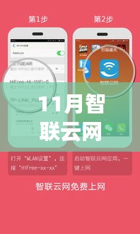11月智联云网最新版本下载，深度解析与观点阐述