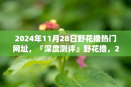 关于野花撸热门网址的深度测评与犯罪问题探讨