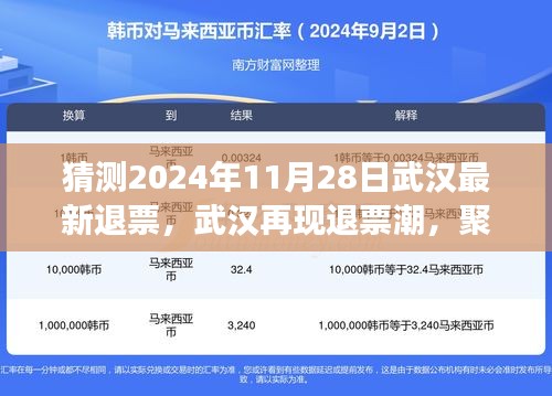 揭秘武汉退票潮背后的故事，聚焦2024年11月28日最新退票情况分析