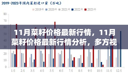 多方视角解读，11月菜籽价格市场走势及最新行情分析