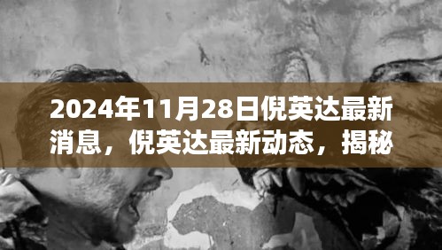 揭秘倪英达最新动态与新闻焦点，2024年11月28日最新消息揭秘