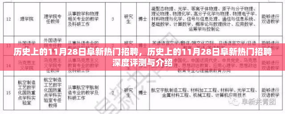 历史上的11月28日阜新热门招聘深度解析与评测报告