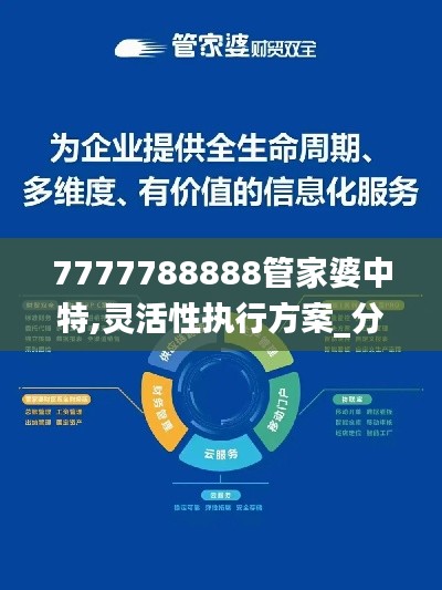 7777788888管家婆中特,灵活性执行方案_分析版BXR13.98