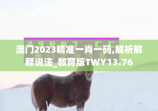 澳门2023精准一肖一码,解析解释说法_教育版TWY13.76