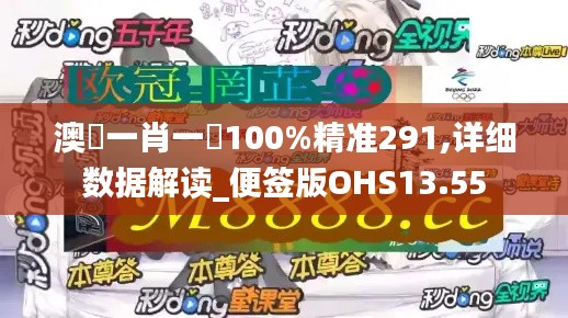 澳門一肖一碼100%精准291,详细数据解读_便签版OHS13.55