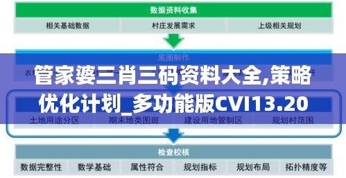 管家婆三肖三码资料大全,策略优化计划_多功能版CVI13.20