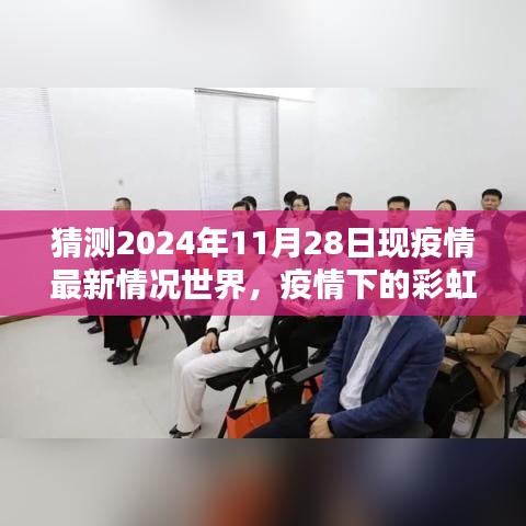 疫情下的彩虹桥，2024年11月28日全球疫情最新情况及温馨日常