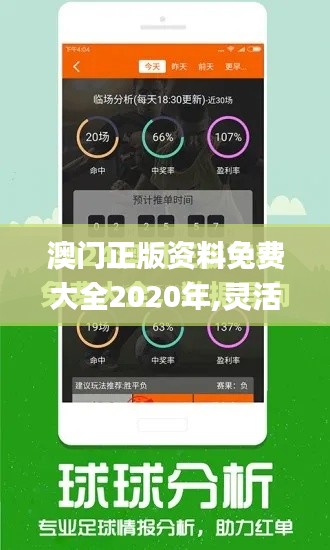 澳门正版资料免费大全2020年,灵活执行方案_愉悦版XUX13.73