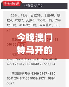 今晚澳门特马开的什么号码2024,快速问题处理_闪电版DGU13.17