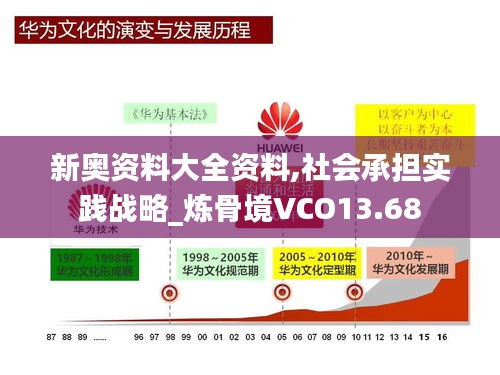 新奥资料大全资料,社会承担实践战略_炼骨境VCO13.68