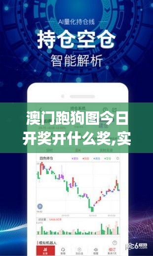 澳门跑狗图今日开奖开什么奖,实时处理解答计划_抓拍版HNP13.86