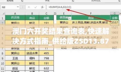 澳门六开奖结果查询表,快速解决方式指南_供给版ZSD13.87