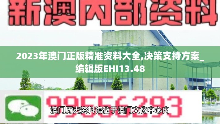 2023年澳门正版精准资料大全,决策支持方案_编辑版EHI13.48