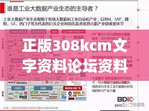 正版308kcm文字资料论坛资料,实践数据分析评估_特色版YQN13.89