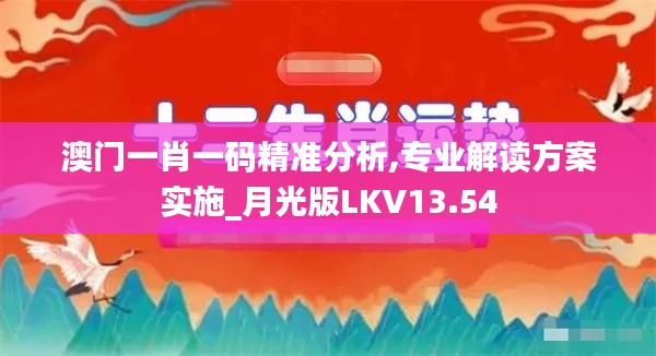 澳门一肖一码精准分析,专业解读方案实施_月光版LKV13.54