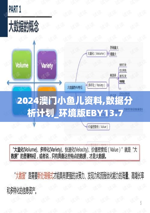 2024澳门小鱼儿资料,数据分析计划_环境版EBY13.7