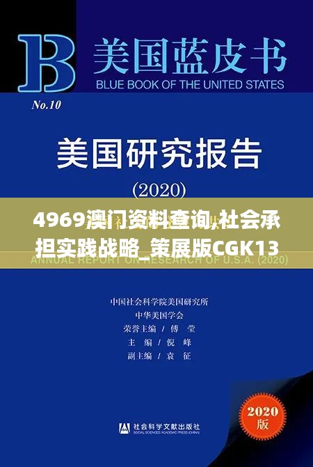 4969澳门资料查询,社会承担实践战略_策展版CGK13.58