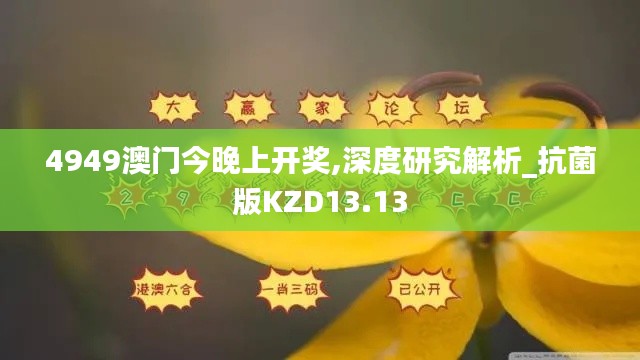 4949澳门今晚上开奖,深度研究解析_抗菌版KZD13.13