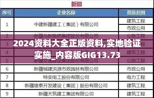 2024资料大全正版资料,实地验证实施_内容版GIG13.73