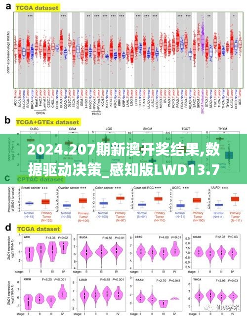 2024.207期新澳开奖结果,数据驱动决策_感知版LWD13.73