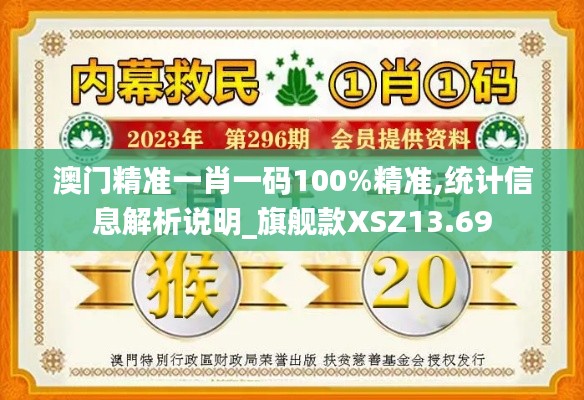 澳门精准一肖一码100%精准,统计信息解析说明_旗舰款XSZ13.69