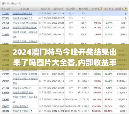 2024澳门特马今晚开奖结果出来了吗图片大全香,内部收益率_强劲版BUC13.20