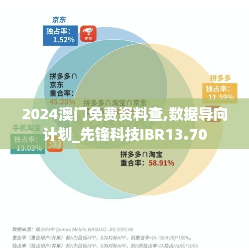 2024澳门免费资料查,数据导向计划_先锋科技IBR13.70