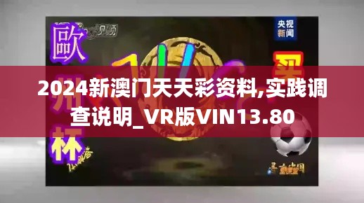 2024新澳门天天彩资料,实践调查说明_VR版VIN13.80