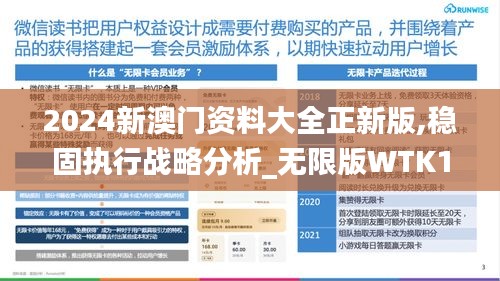 2024新澳门资料大全正新版,稳固执行战略分析_无限版WTK13.39