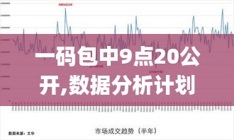 一码包中9点20公开,数据分析计划_流线型版HXX13.50