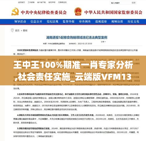 王中王100%期准一肖专家分析,社会责任实施_云端版VFM13.85