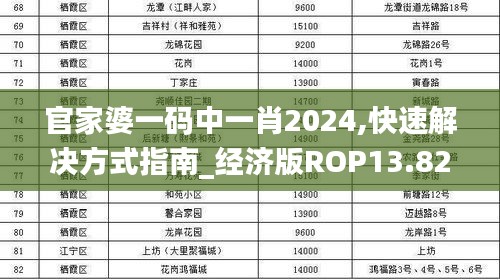 官家婆一码中一肖2024,快速解决方式指南_经济版ROP13.82